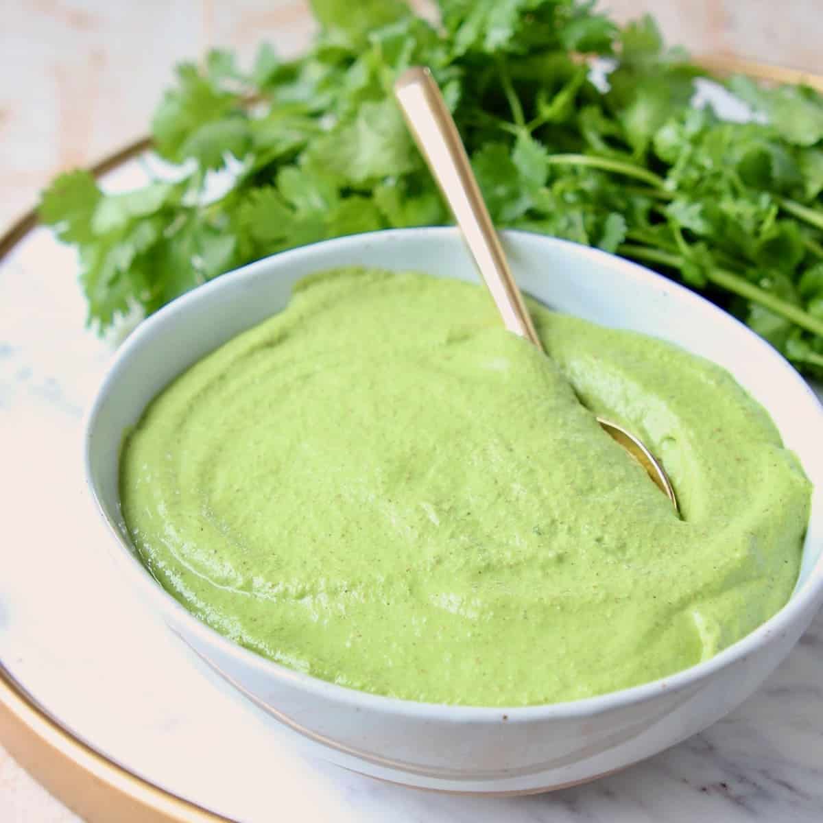 Cilantro Pesto Vegan Gluten Free Recipe Whitneybond