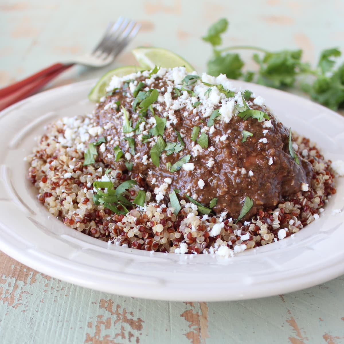 Easy Slow Cooker Chicken Mole Recipe
