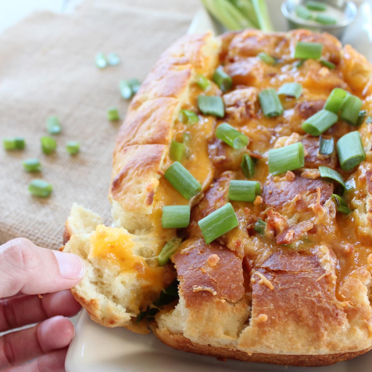 https://whitneybond.com/2012/03/20/whats-for-a-side-loaded-baked-potato-bread/img_1498-2/