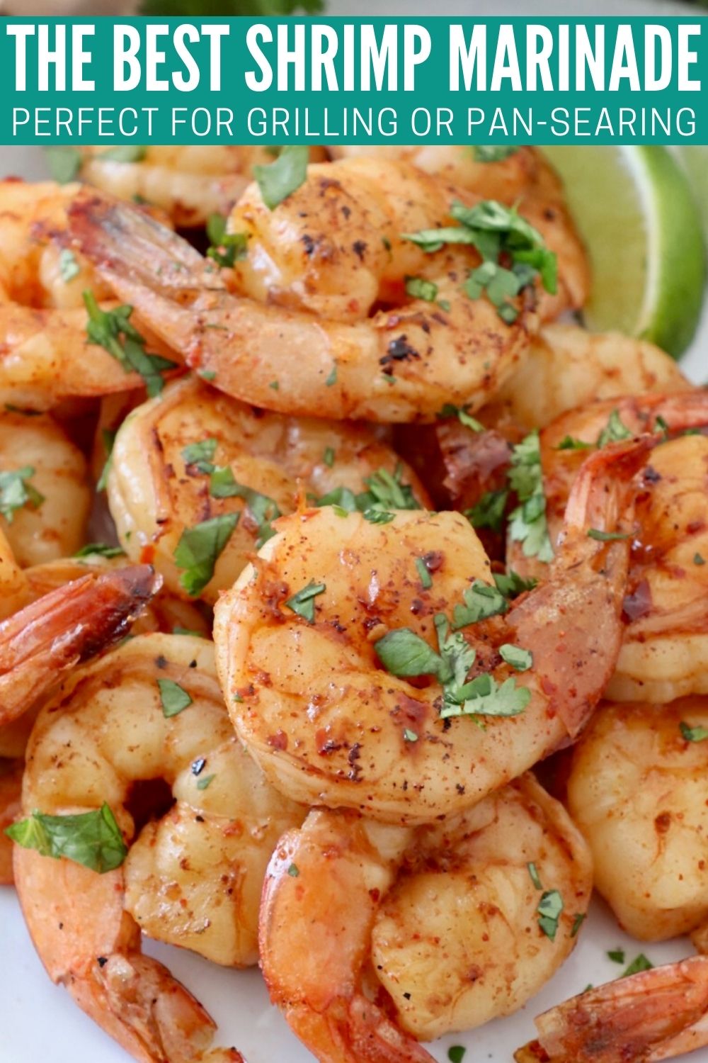 The BEST Grilled Shrimp Marinade Recipe