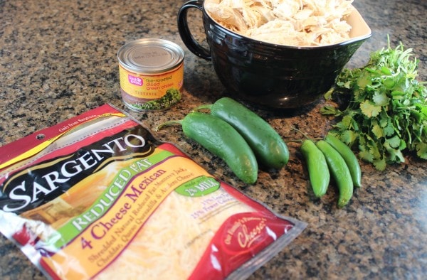 Chicken Tamale Ingredients