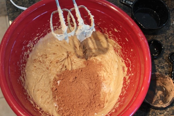Chocolate Cookie Batter