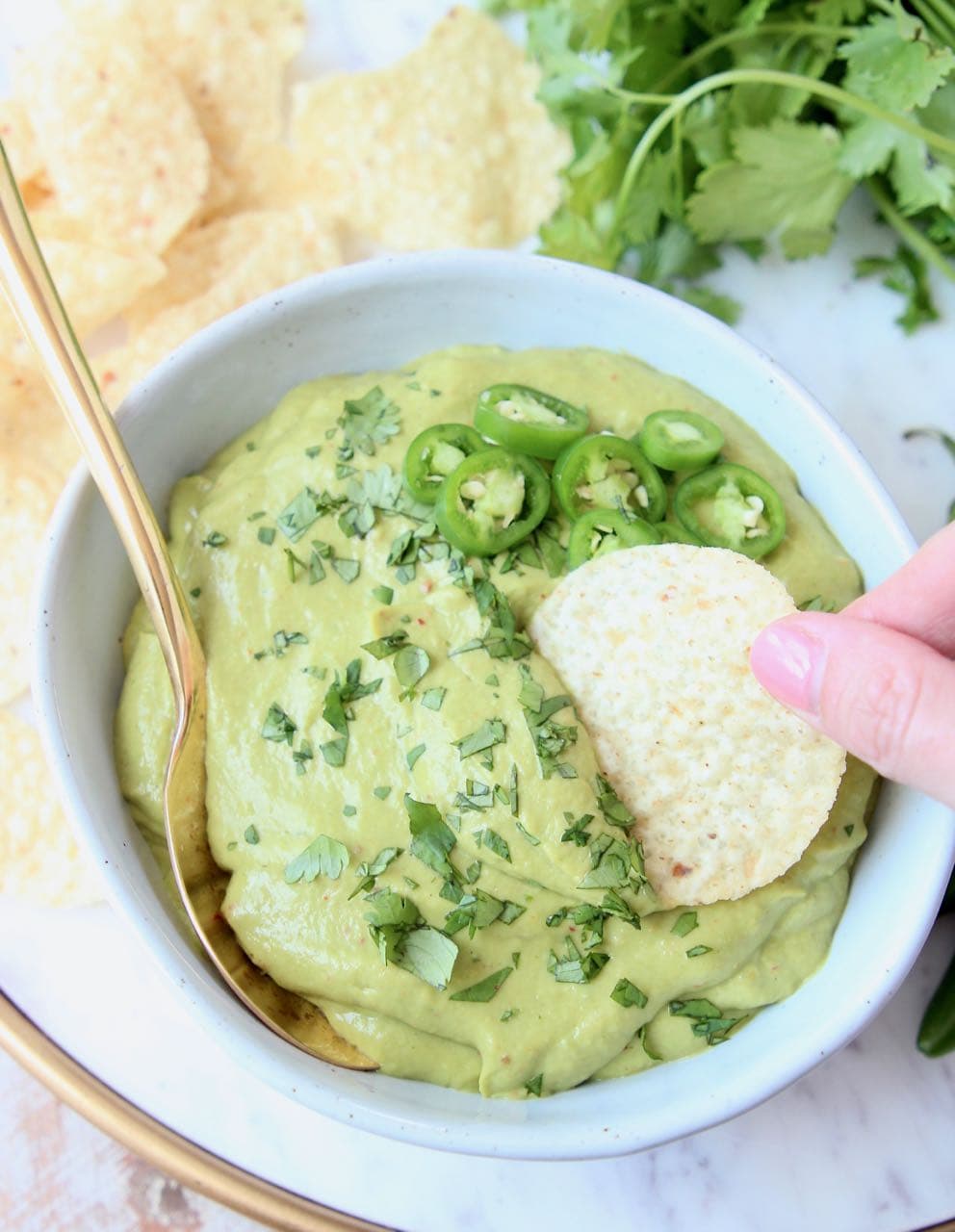 Tortilla chip being dipped into a bowl of avocado salsa