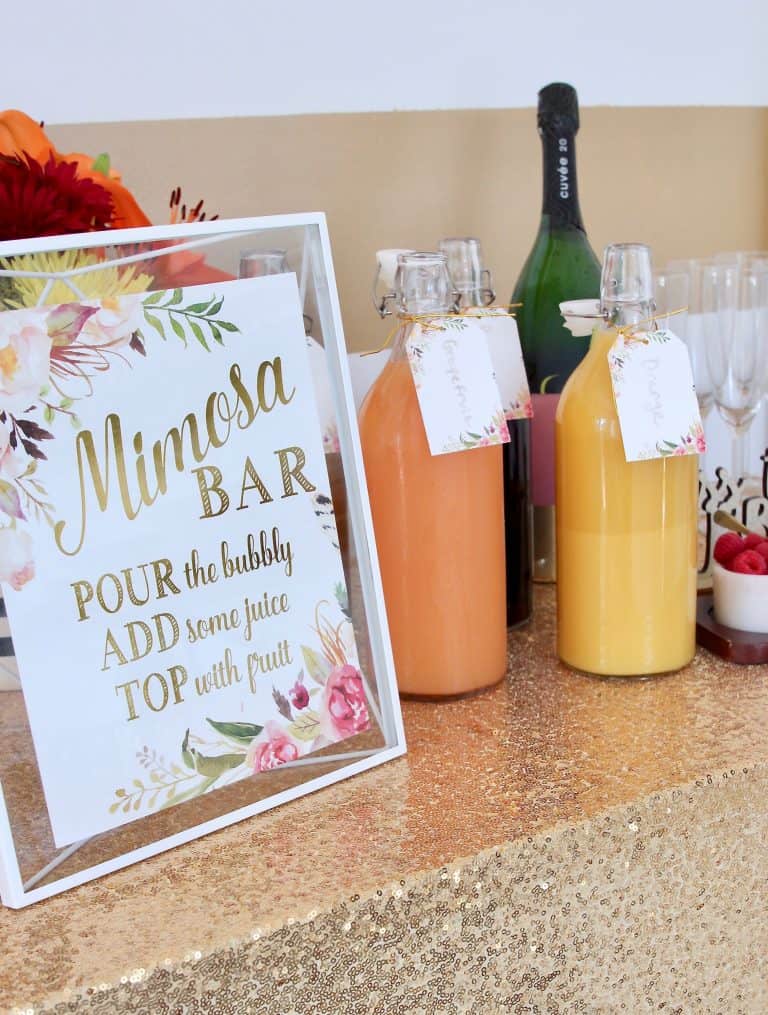 how-to-make-your-own-mimosa-bar-whitneybond