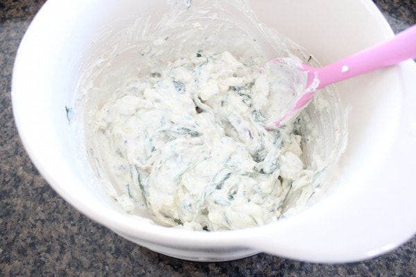 Blue Cheese Spinach Dip Recipe