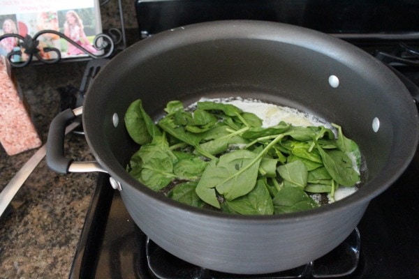 Spinach Alfredo Sauce Recipe
