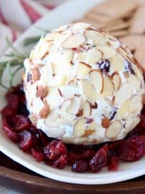 Goat cheese ball on plate surrounded by dried cranberries