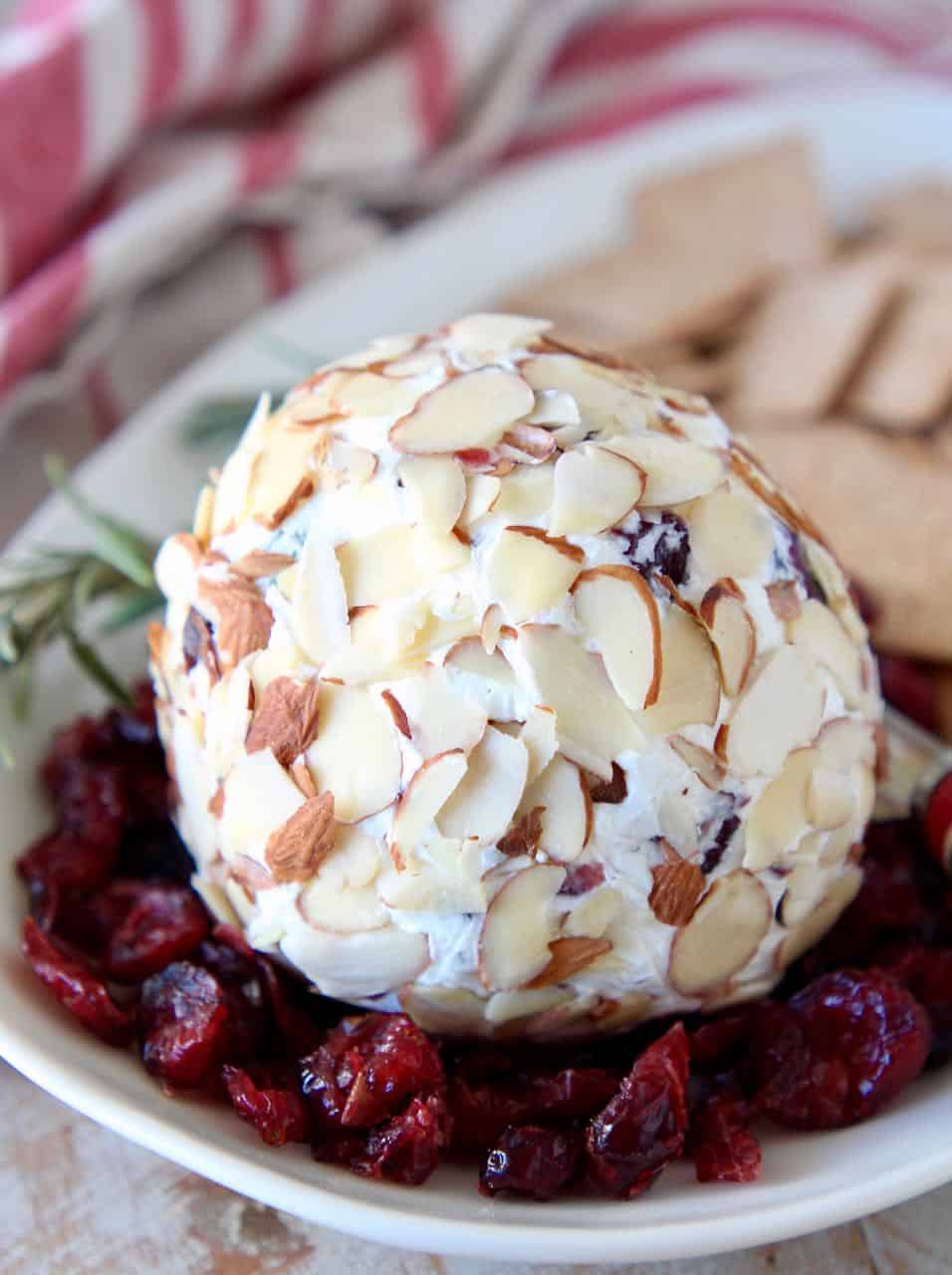 Cheese ball on plate surrounded by dried cranberries and crackers