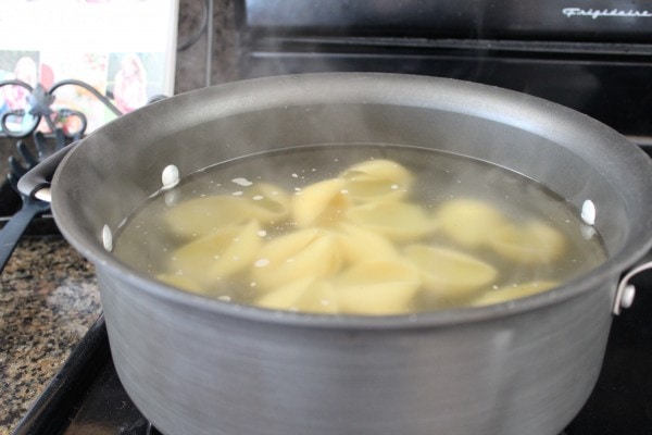 A pot filled with water and pasta shells.