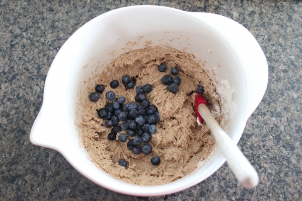 Gluten Free Blueberry Coffee Cake Recipe