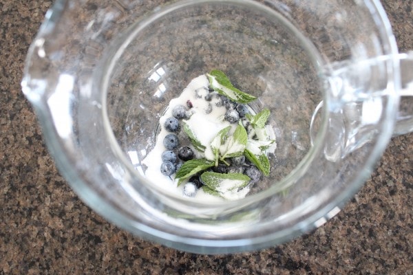 Blueberry Mint Prosecco Sparkler Recipe