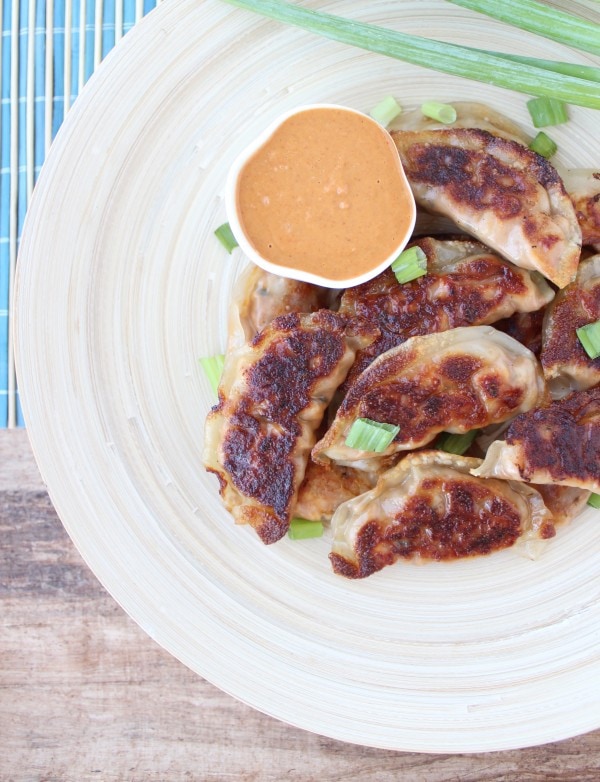 Thai Peanut Chicken Pot Stickers