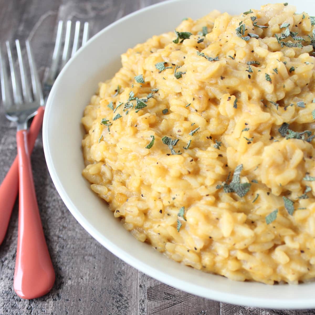 Butternut Squash Risotto