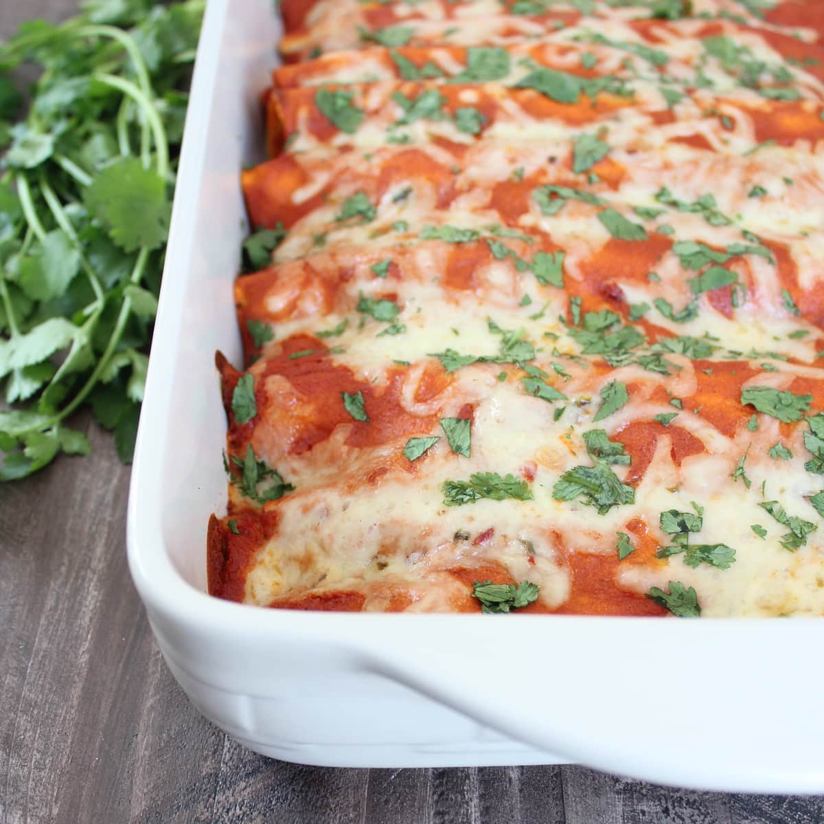 enchiladas in a baking dish topped with fresh cilantro