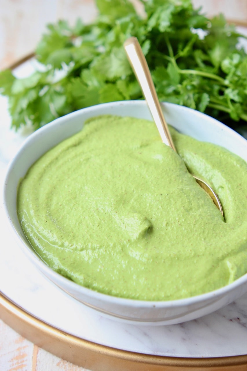 Vegan cilantro pesto in bowl with fresh cilantro in background