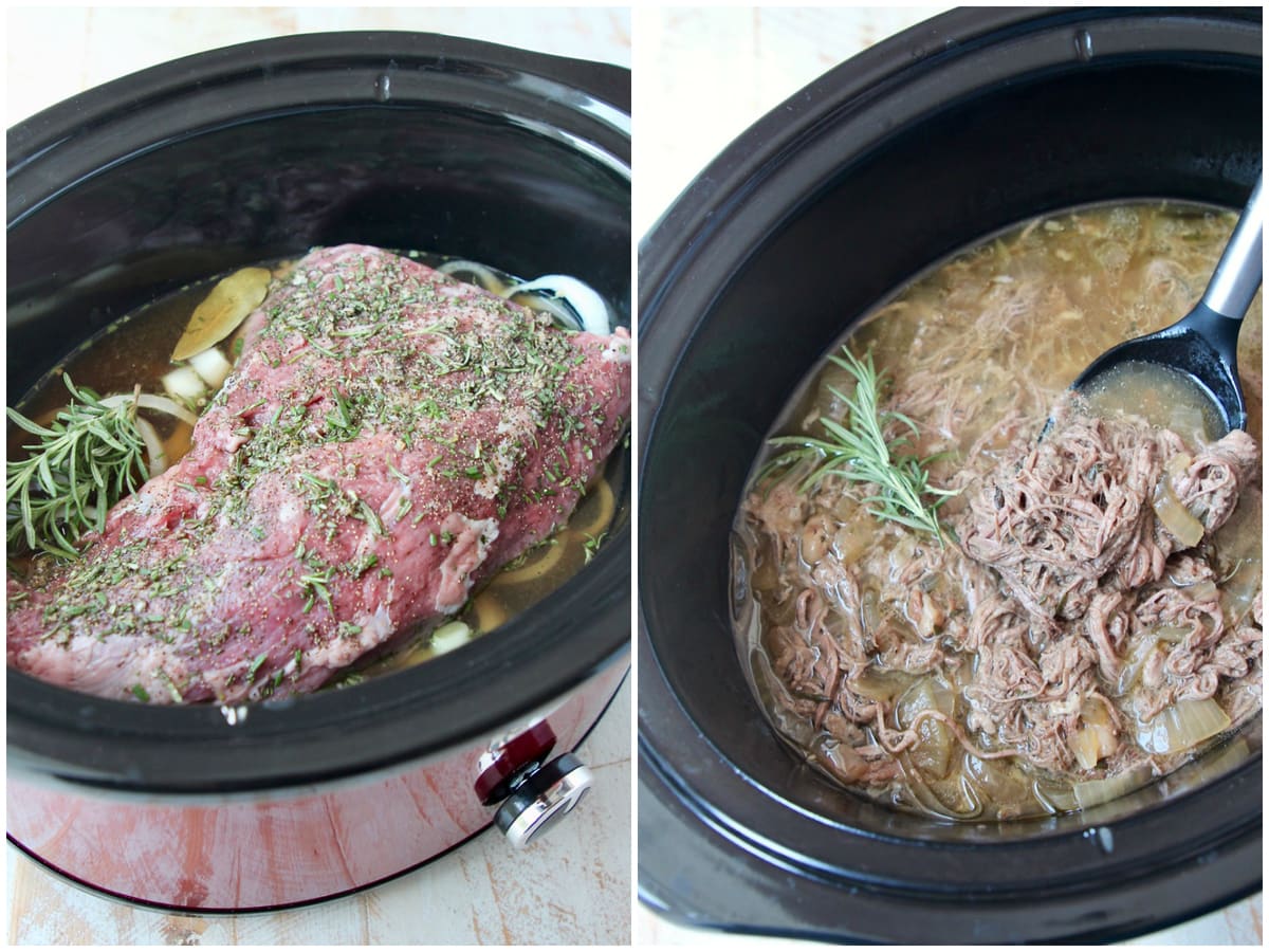 French Dip Recipe With Slow Cooker Rosemary Tri Tip Whitneybond Com,Dragon Lizard With Wings