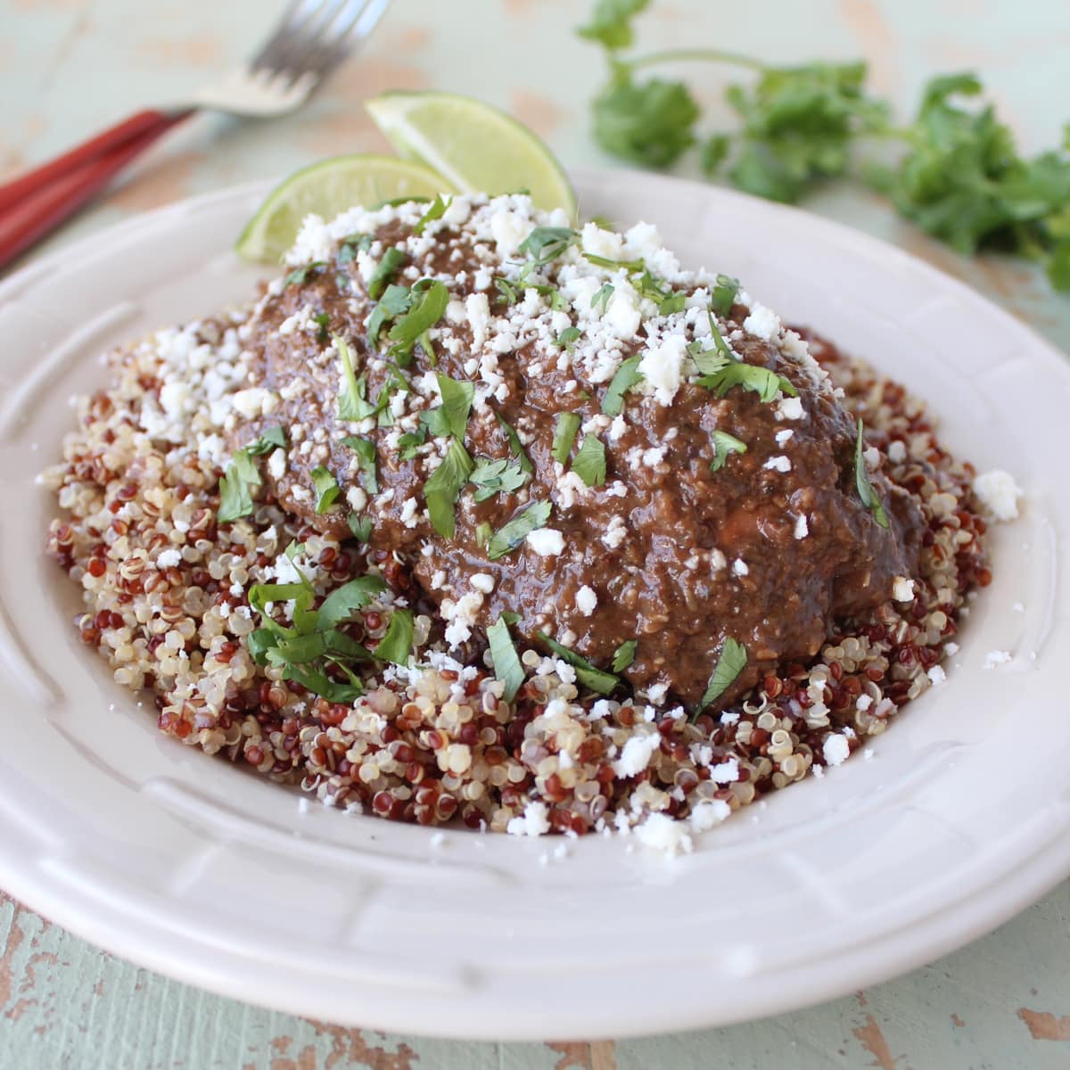Slow Cooker Chicken Mole Recipe
