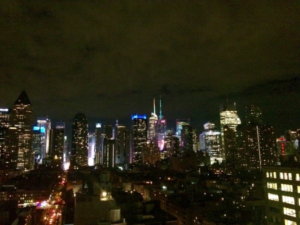 View from The Press Lounge Rooftop Bar NYC