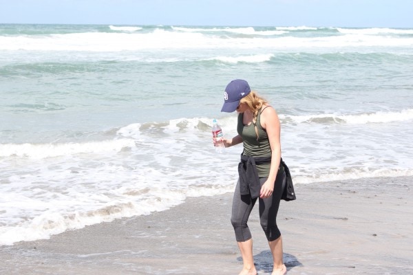 Walk Along The Beach at Torrey Pines in Del Mar California