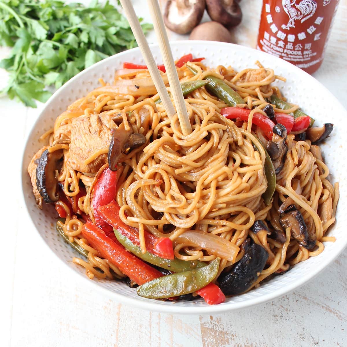 Easy Chicken Lo Mein Recipe