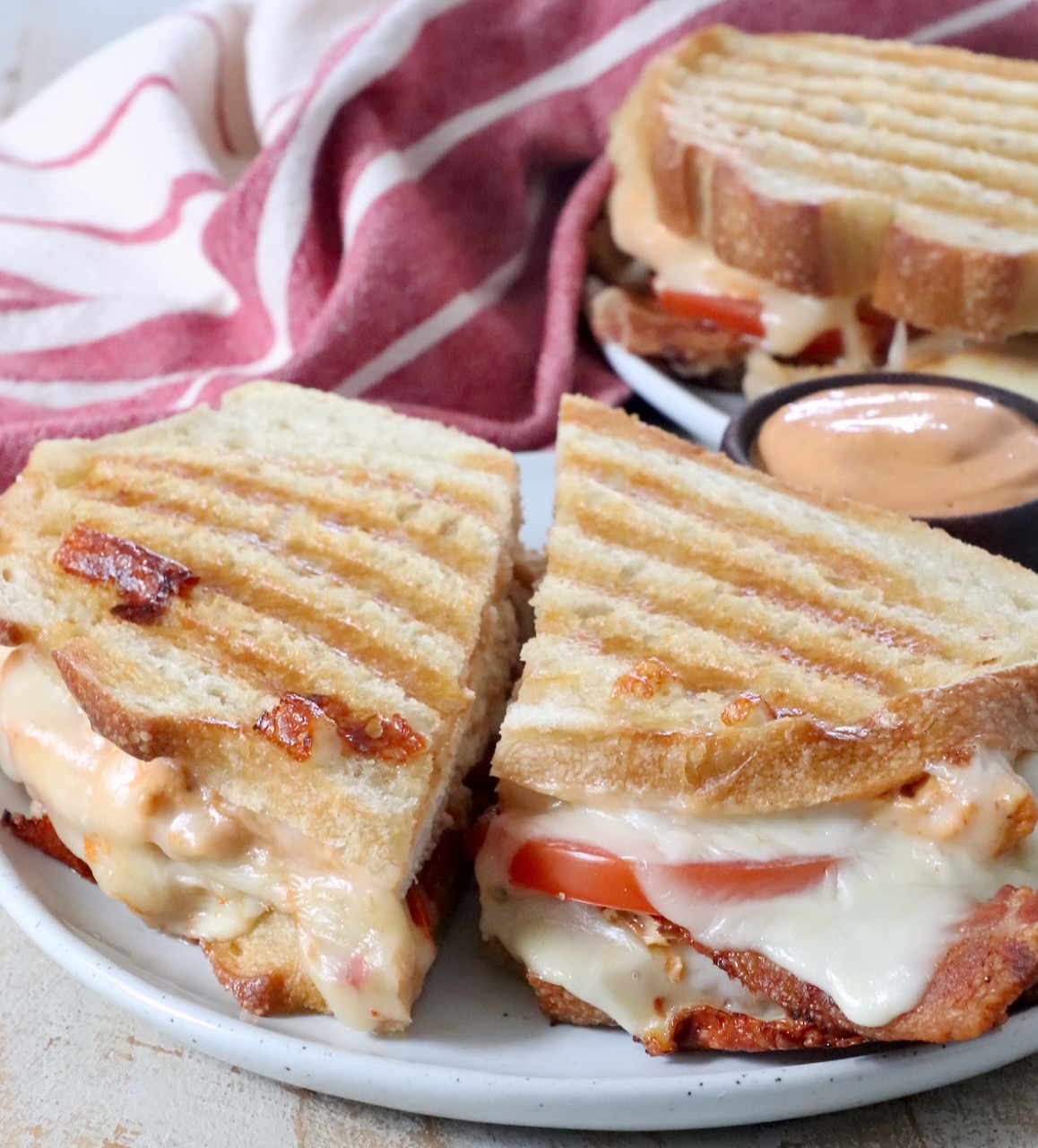 chicken panini sliced in half on plate