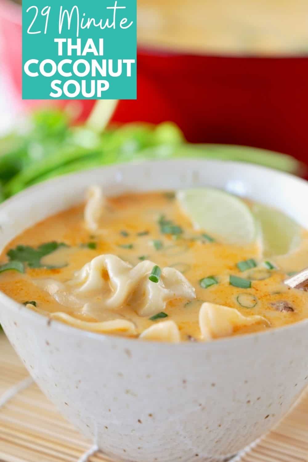 Thai Coconut Soup with Potstickers
