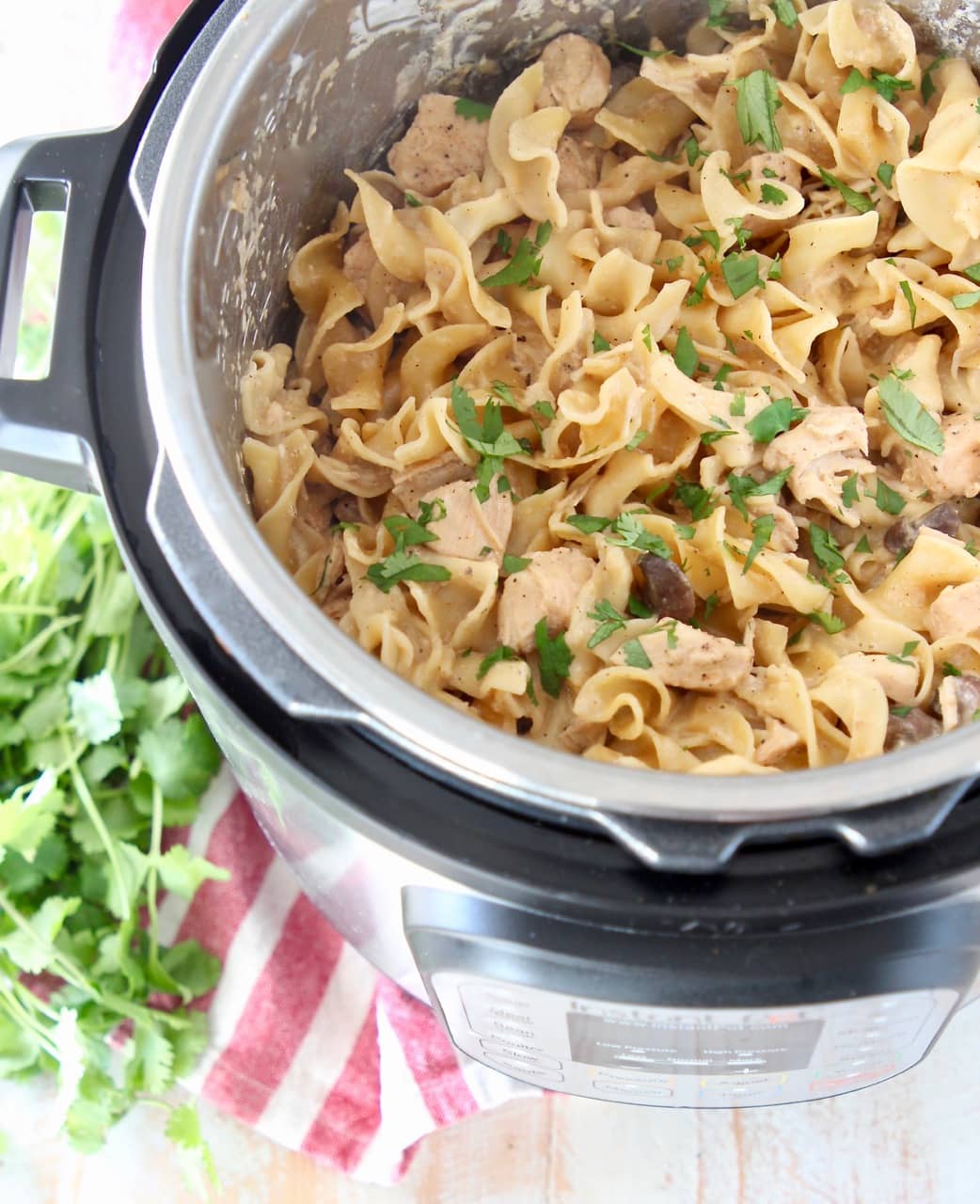 Easy Instant Pot Chicken Stroganoff Recipe Whitneybond Com