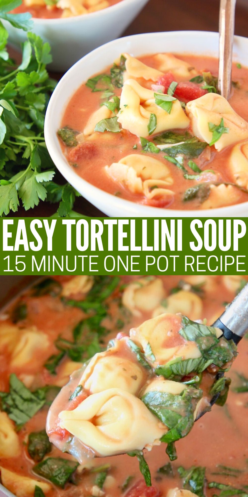 Creamy Tortellini Soup Recipe