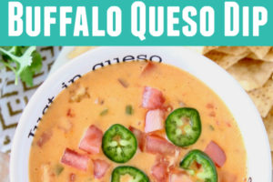 Queso dip in white bowl with text inside bowl "Just In Queso"