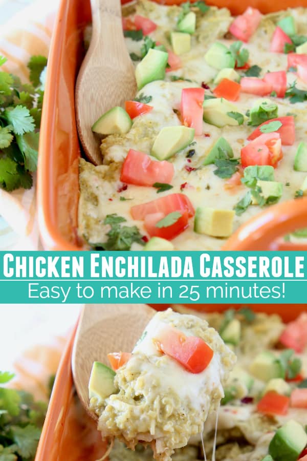 Easy Chicken Enchilada Casserole Recipe - WhitneyBond.com