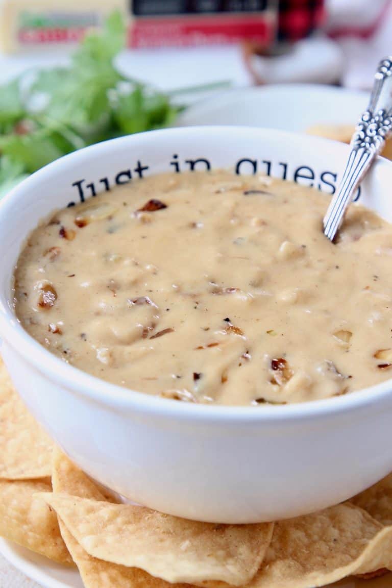 French Onion Dip Queso Recipe