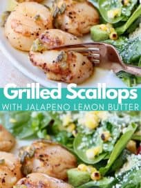 Grilled scallops on plate with salad