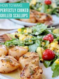 Grilled scallops on plate with salad