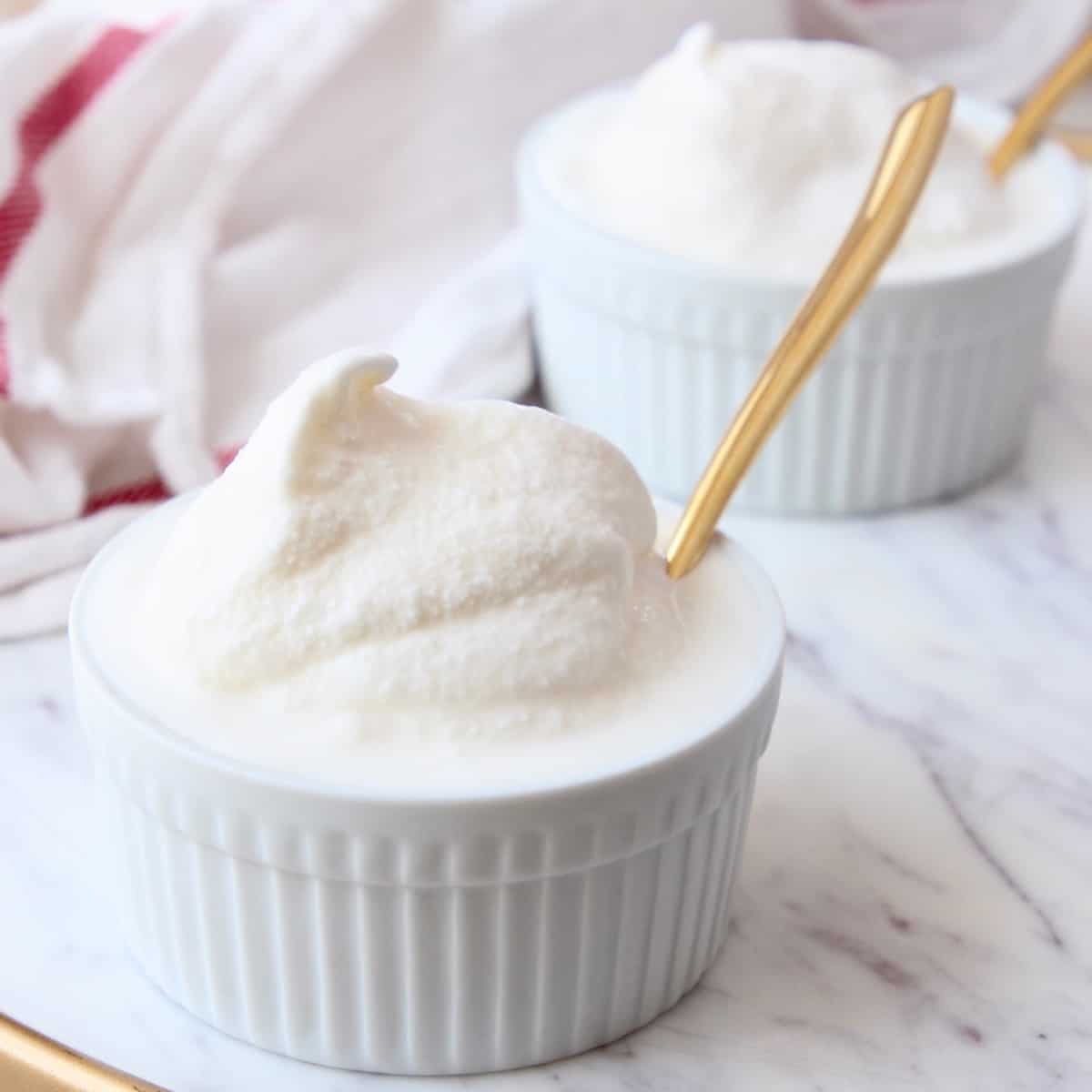 Homemade Vanilla Ice Cream Recipe