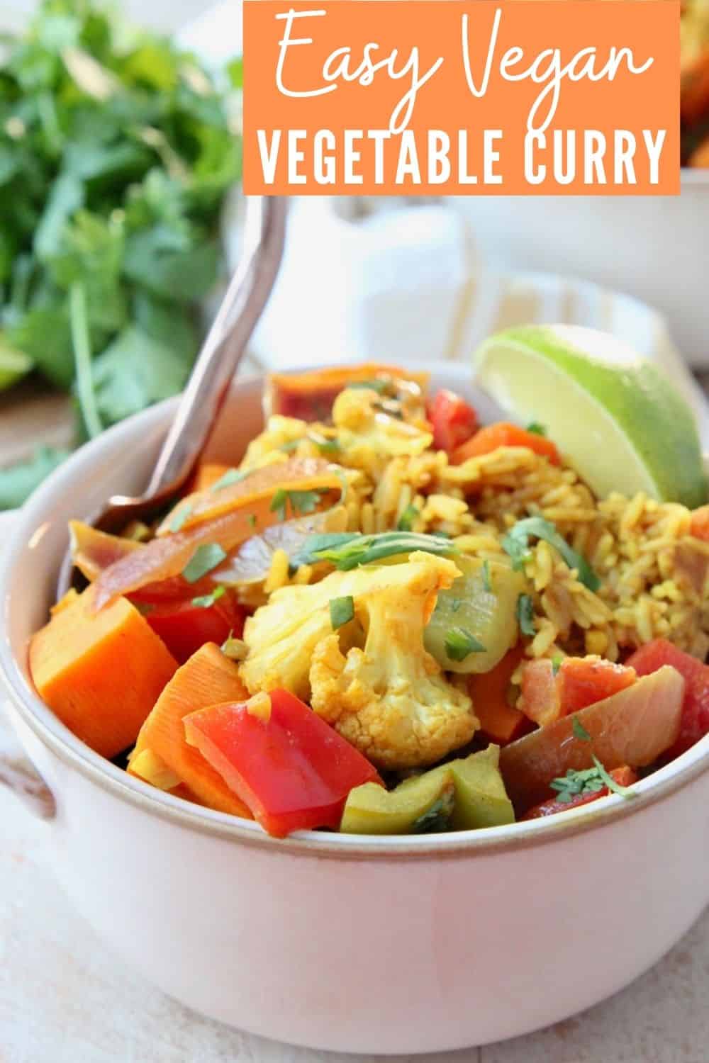 Easy Vegetable Curry Casserole Recipe