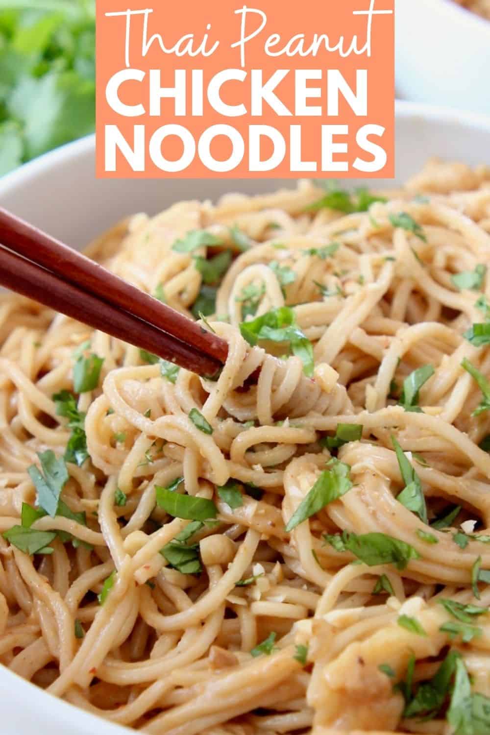 Thai Peanut Chicken Noodles Recipe - WhitneyBond.com