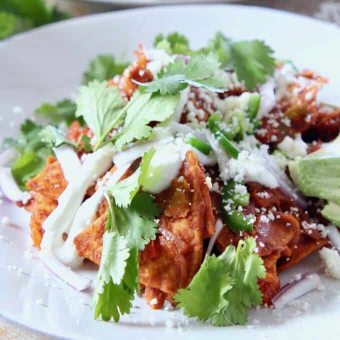 chilaquiles on plate topped with cilantro and cheese