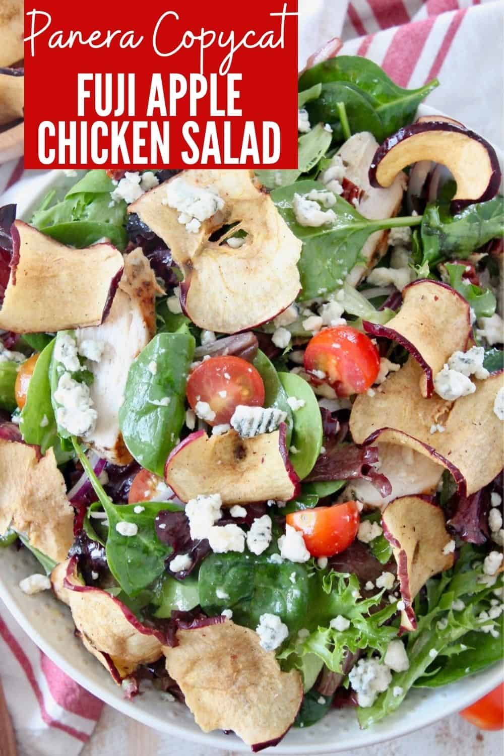 fuji-apple-chicken-salad-panera-bread-copycat-whitneybond