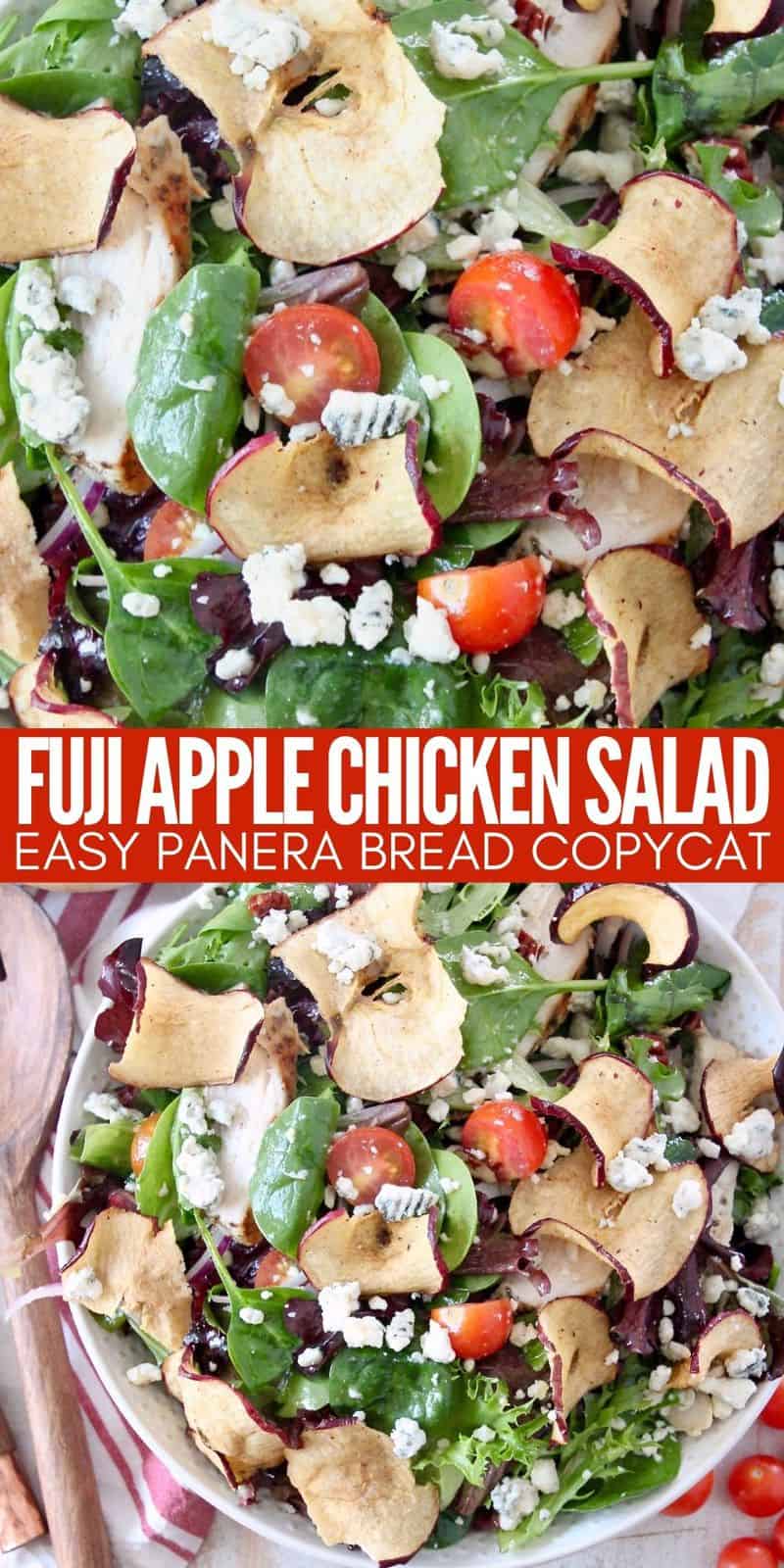 Fuji Apple Chicken Salad (Panera Bread Copycat)