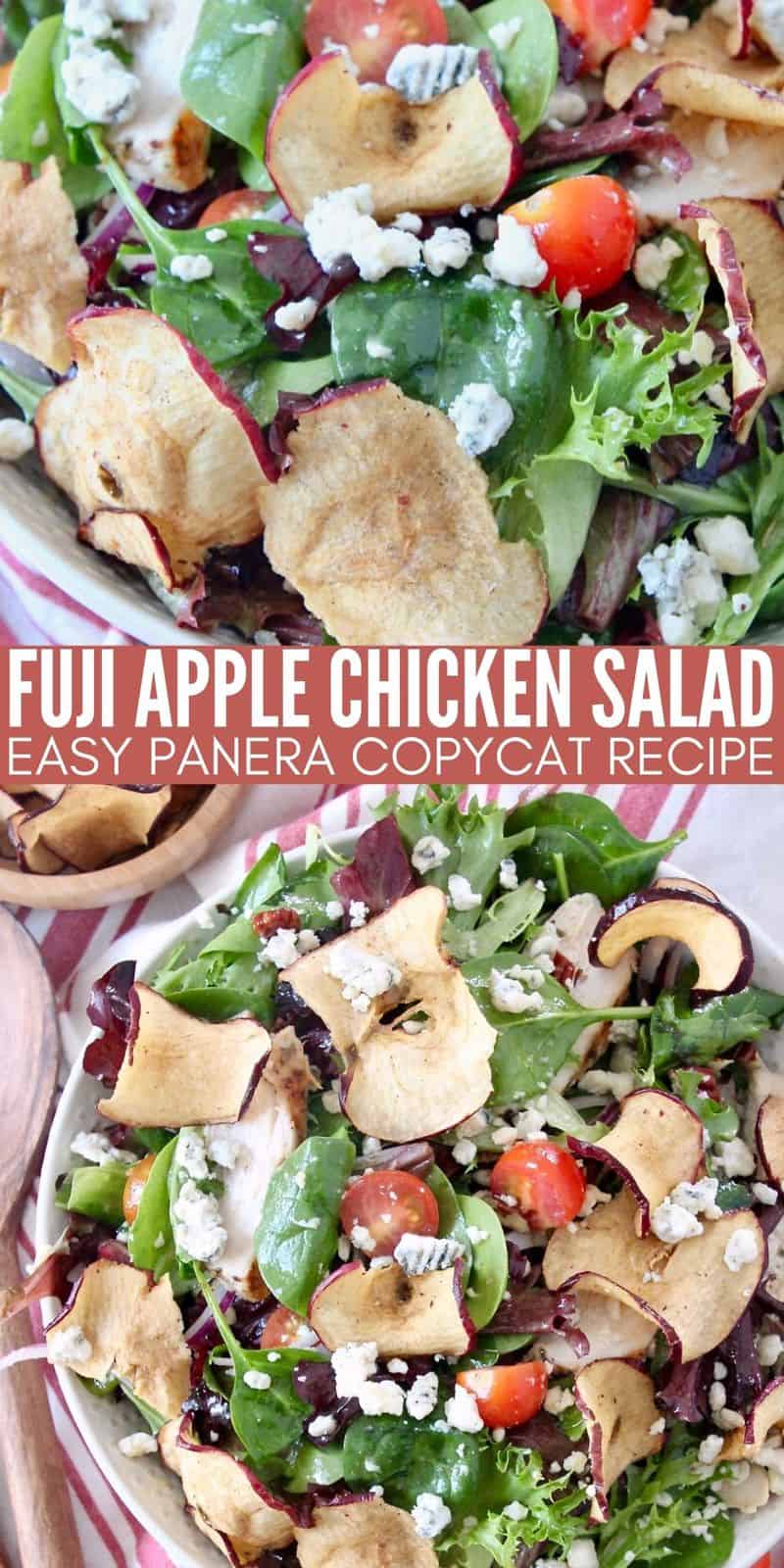 Fuji Apple Chicken Salad (Panera Bread Copycat) - WhitneyBond.com