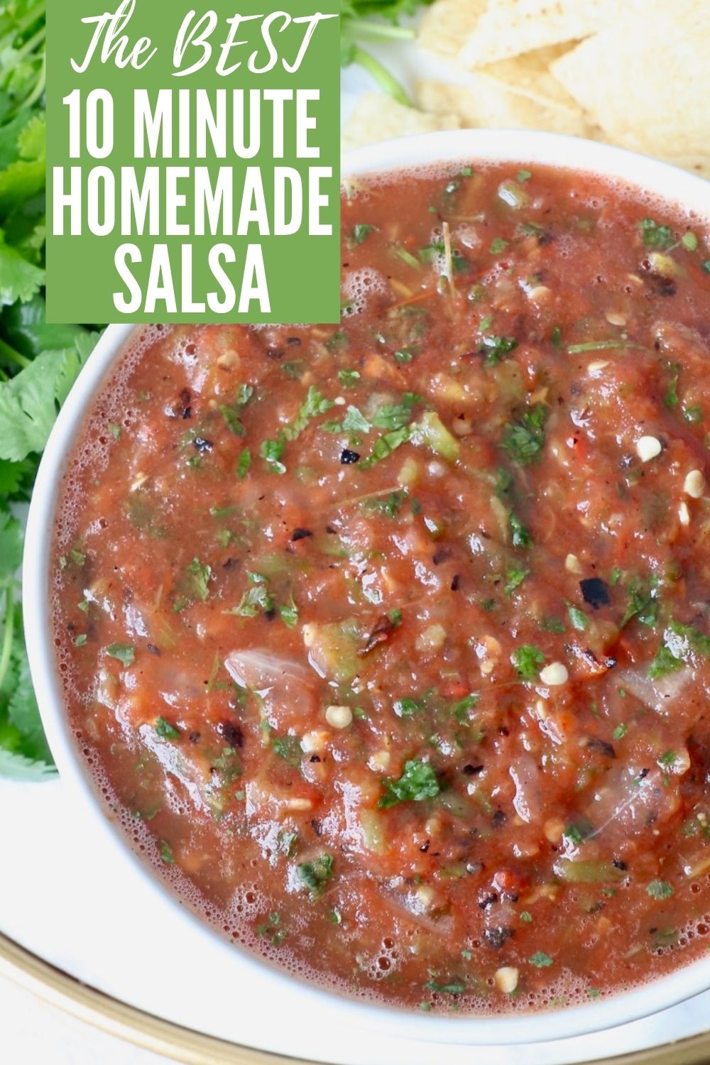 Homemade Salsa - Easy 10 Minute Recipe