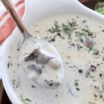 cream of mushroom soup in spoon in bowl