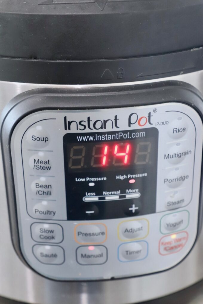 Instant Pot with 14 minutes on the timer