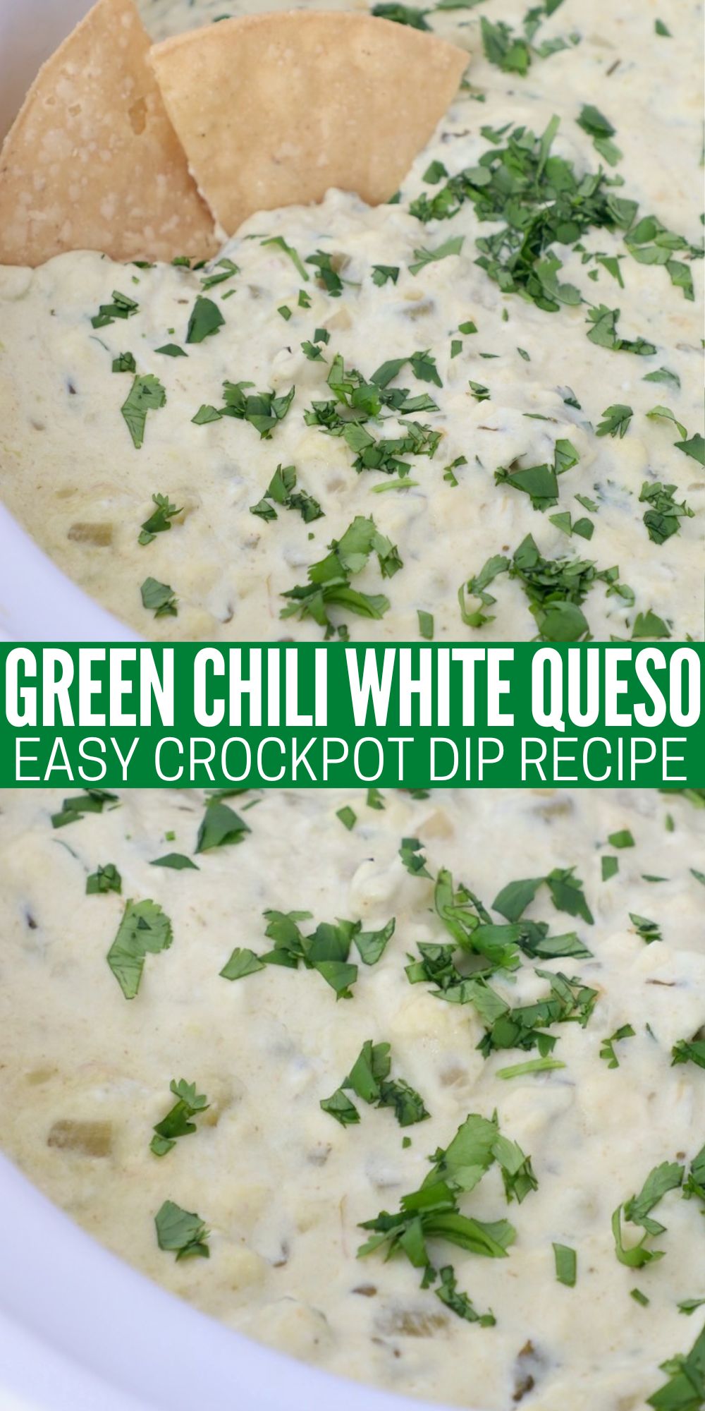 Green Chili Queso Blanco Dip Recipe