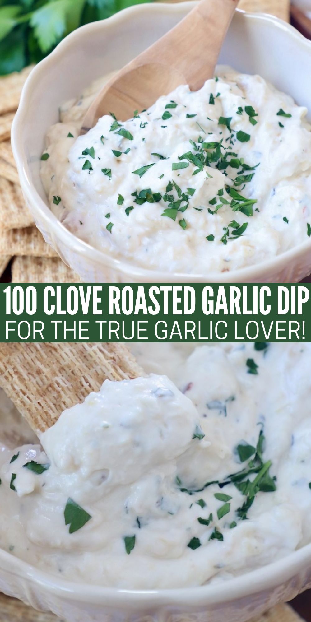 Roasted Garlic Dip Recipe