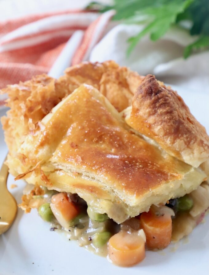 Veggie Pot Pie Recipe WhitneyBond com