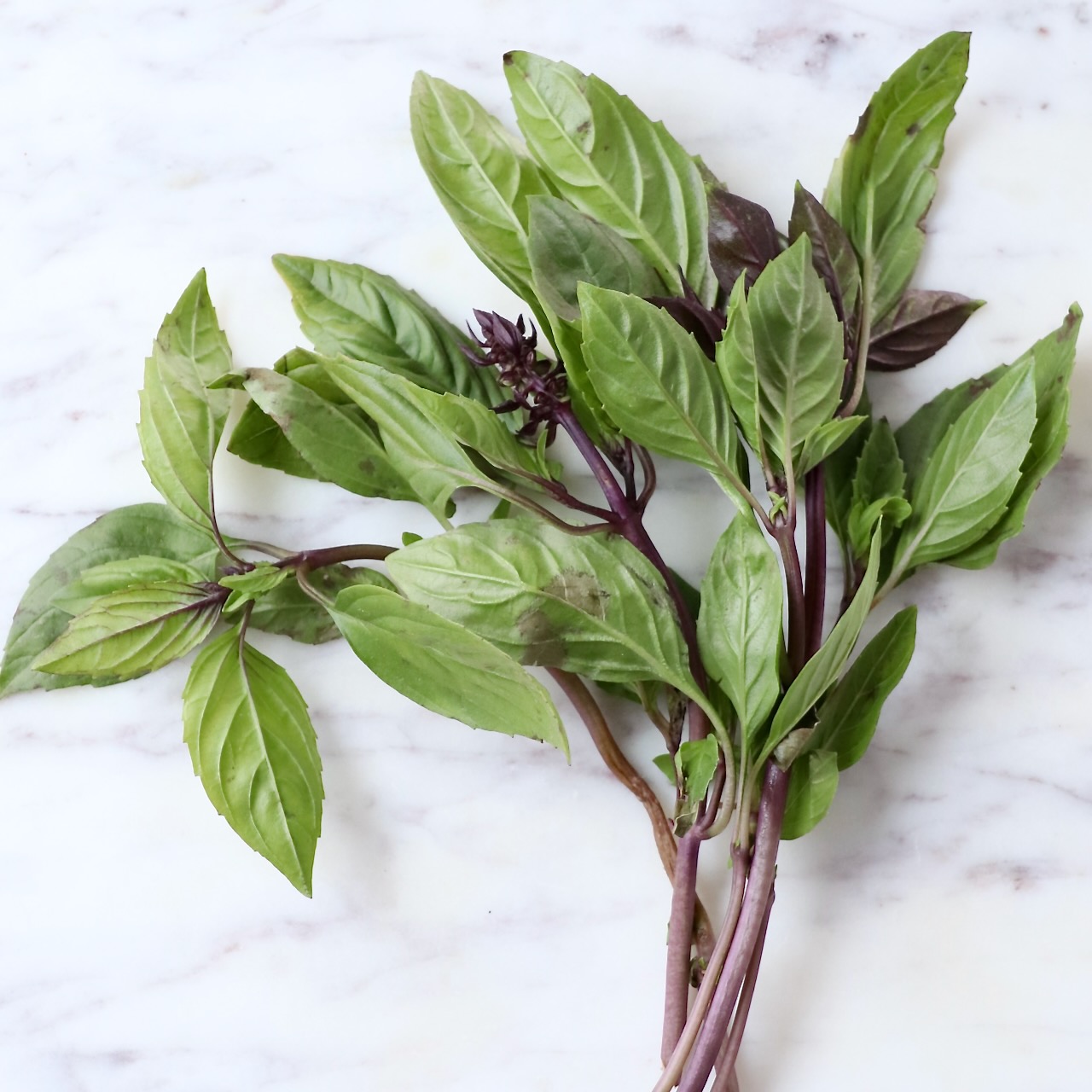 What Is Thai Basil How To Use It In Recipes WhitneyBond
