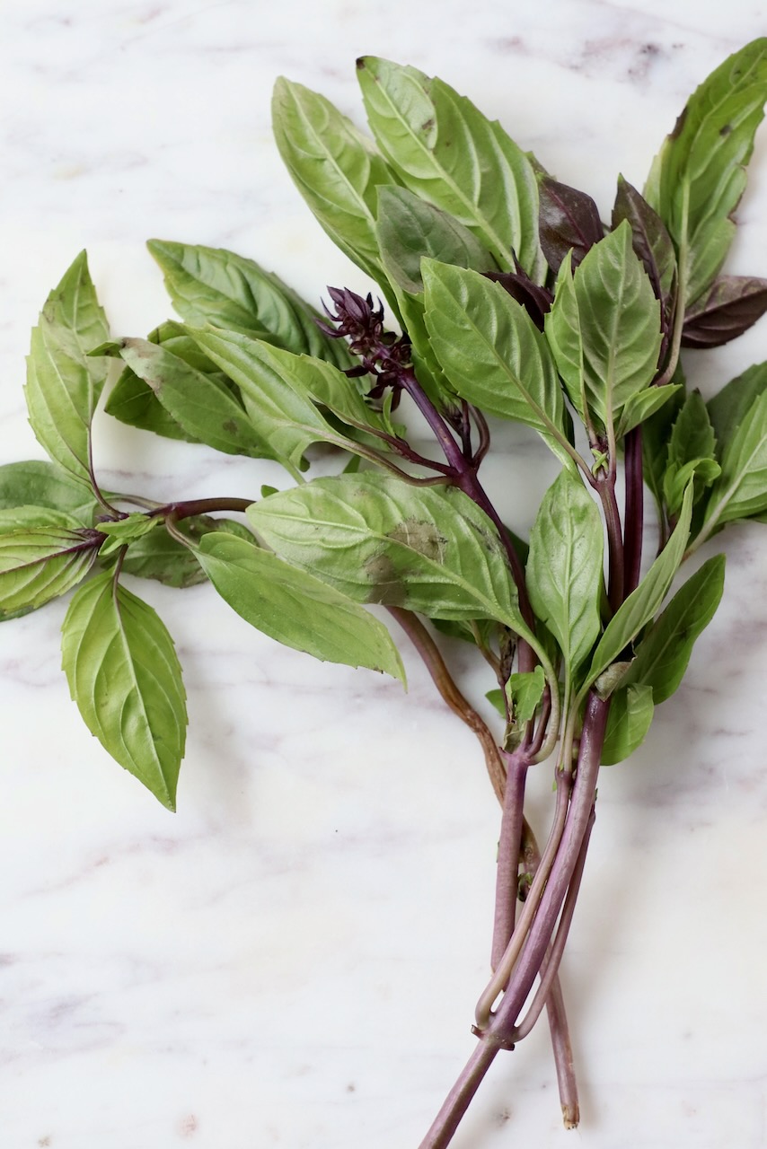 What is Thai Basil How To Use It In Recipes WhitneyBond