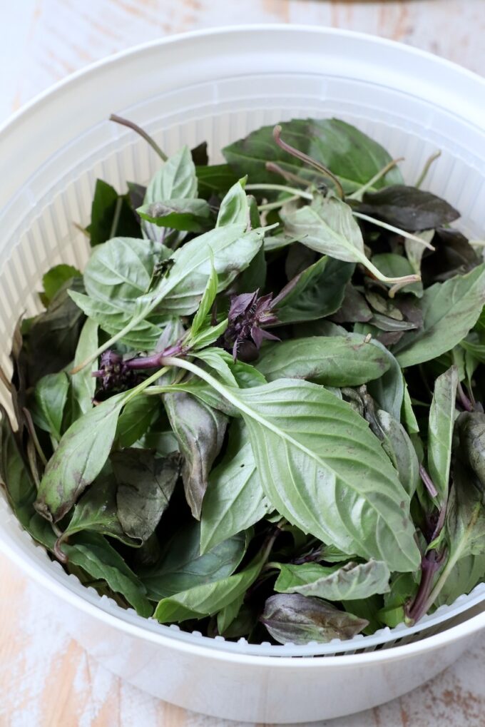 thai basil leaves in salad spinner