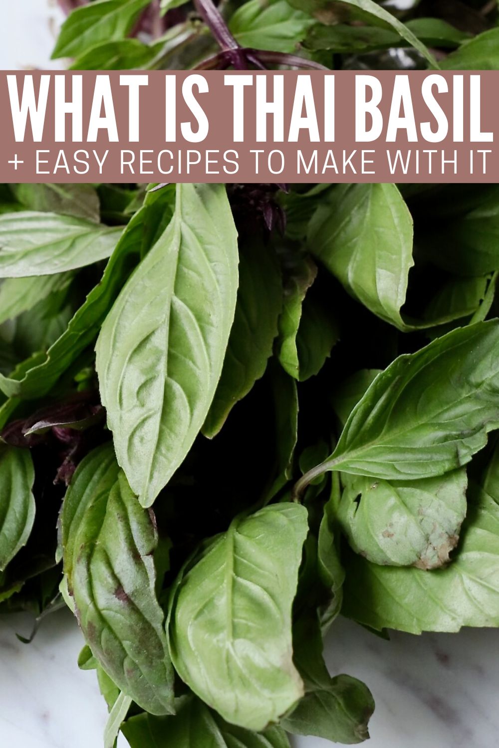 What is Thai Basil? + How To Use It In Recipes
